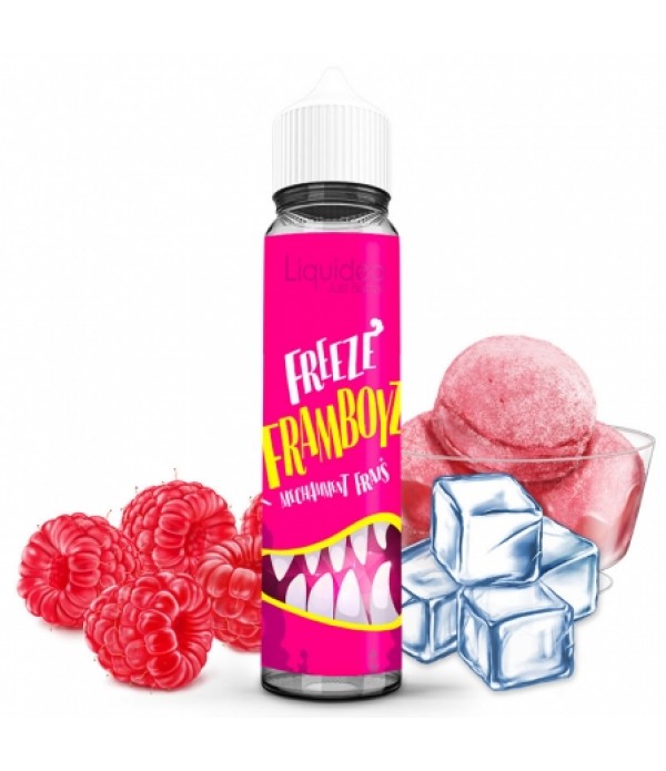 Soldes E liquide Framboyz Freeze Liquideo 50ml