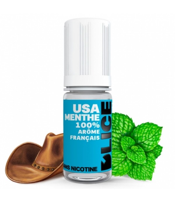 Soldes E liquide USA Menthe DLICE | Tabac blond Menthe